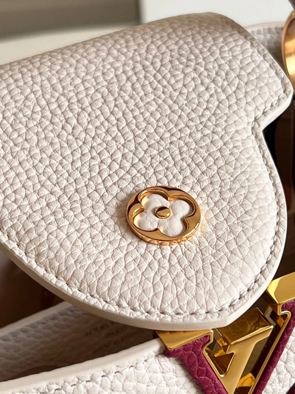 BB VUITTON CAPUCINES LOUIS 0807